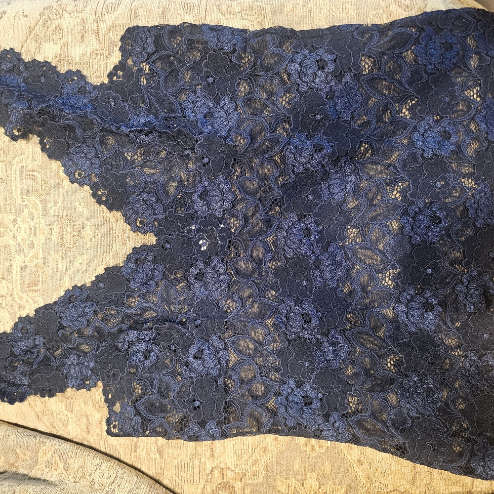 Natori Blue Lace Chemise with Floral Detailing